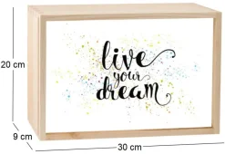 Boite lumineuse LED 30x20 cm (Live your dream)