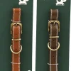 Collier en polyuréthane pour chien (Lot de 2) (L - 53 cm)
