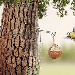 Crochet d'arbre pour nourriture oiseaux
