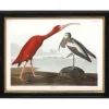 Ensemble de 3 cadres Oiseaux