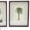 Ensemble de 3 cadres 30 x 40 cm Palmiers