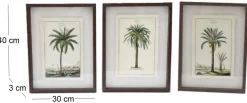 Ensemble de 3 cadres 30 x 40 cm Palmiers