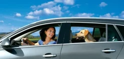 Filet de voiture pour chien