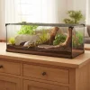 Kit terrarium tortue terrestre Karapas Pro
