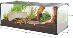 Kit terrarium tortue terrestre Karapas Pro