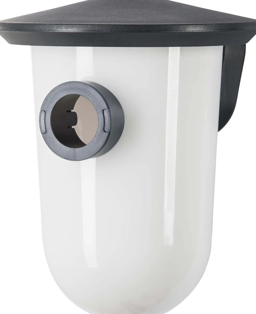Nichoir pour oiseaux du jardin BreedR (Gris)