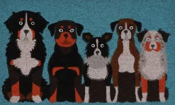 Paillasson en fibres de coco Pets (Chiens)