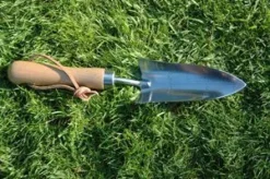 Pelle transplantoir en acier inoxydable et frêne