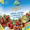 2 pièges contre la mouche de cerise