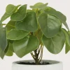 Pilea artificielle pot effet ciment 23 cm