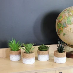 Plante succulente en pot bicolore 8 x 15 cm (Lot de 4)