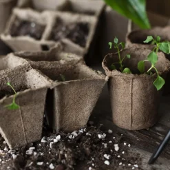 Pots de plantation bio sans tourbe (24 pots - 6 cm - ronds)