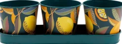 Set de 3 cache-pots en métal Citrus
