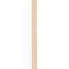 Set pelle et balai en bois dde hêtre et acier