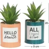 Succulentes artificielles dans pots à message 17 cm (Lot de 2)