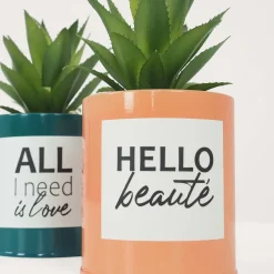 Succulentes artificielles dans pots à message 17 cm (Lot de 2)