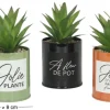 Succulentes artificielles dans pots colorés 17 cm (Lot de 3)