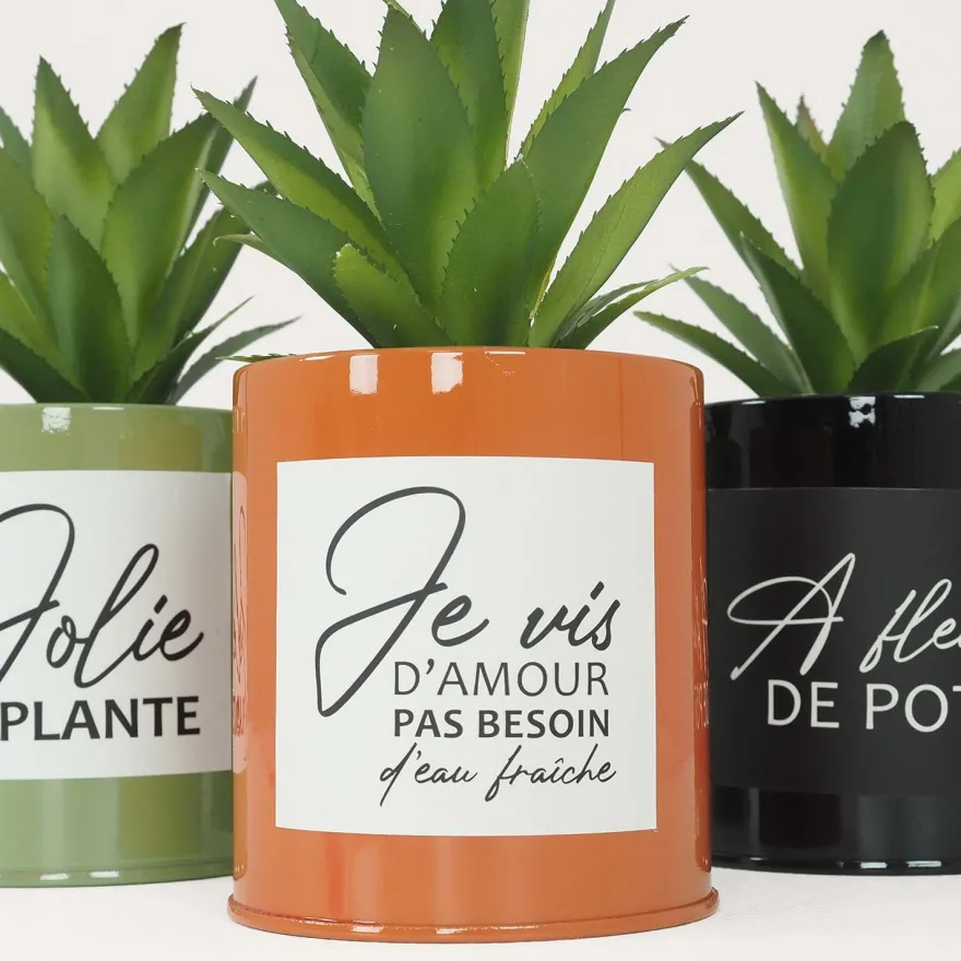 Succulentes artificielles dans pots colorés 17 cm (Lot de 3)