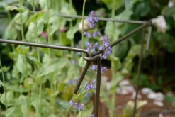 Support à plantes en acier (Lot de 6) (75 cm)