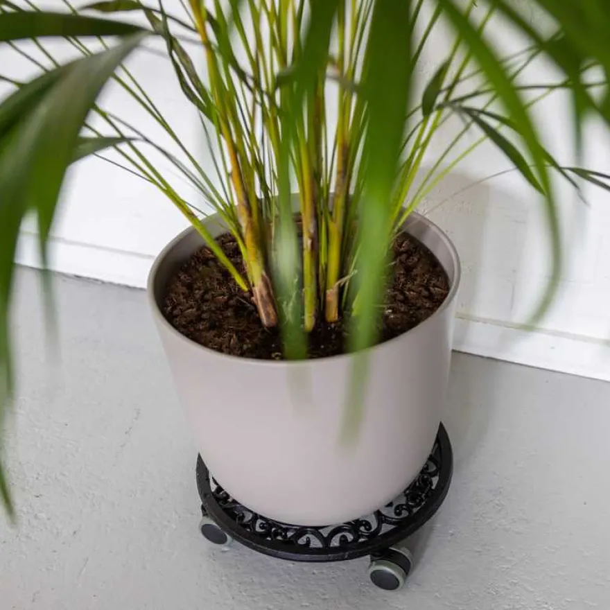 Support à plantes en fonte (Rond)