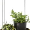 Support à plantes rond à suspendre doré (Diamètre de 24 cm)