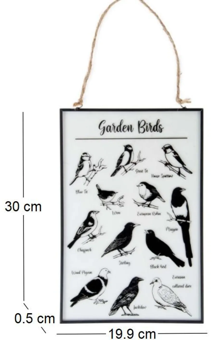Tableau en verre oiseaux du jardin