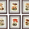 Tableaux décoratifs champignons 30 x 40 cm (Lot de 6)