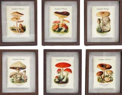 Tableaux décoratifs champignons 30 x 40 cm (Lot de 6)